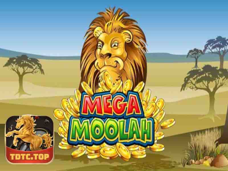 Slot Game Mega Moolah TDTC 