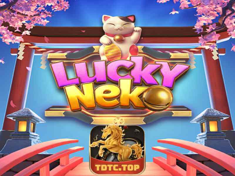 Lucky Neko Slot TDTC