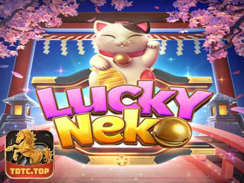3 Câu Hỏi Tại TDTC Khi Chơi Game Lucky Neko Slot  